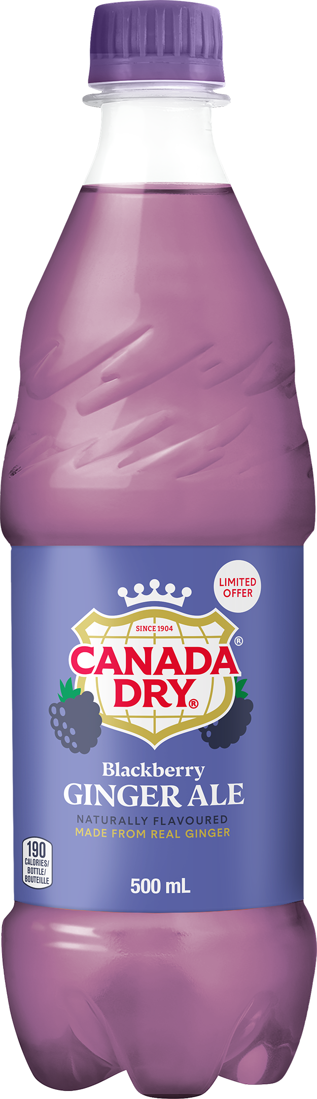 Canada Dry Mûre - 500ml : Une Fusion Rafraîchissante de Gingembre et de Mûre